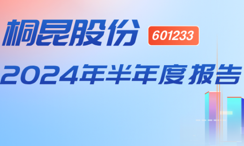 归母净利润同比增长911.35%！桐昆股份发布2024年半年报