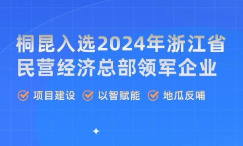 荣誉丨桐昆，浙江省民营经济总部领军企业！